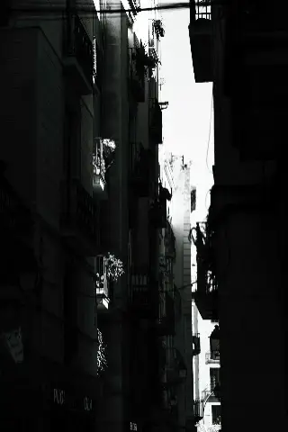 IMG_7347